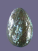 яйцо из халиотиса злёного